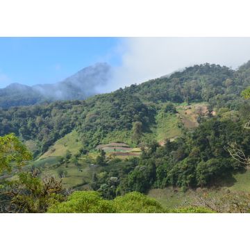 Lais Puzzle - Panoramablick Felder Panama - 1.000 Teile