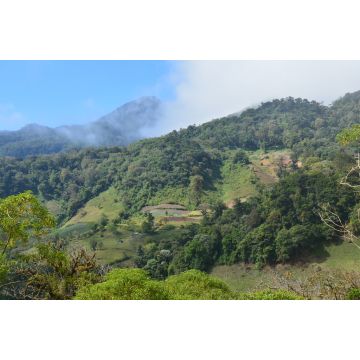 Lais Puzzle - Panoramablick Felder Panama - 2.000 Teile