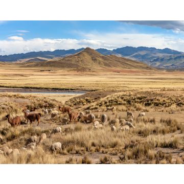 Lais Puzzle - Das Altiplano - Peru - Südamerika - 40, 100, 200, 500, 1.000 & 2.000 Teile