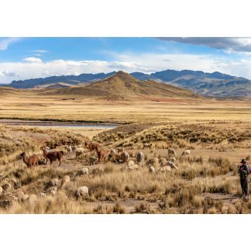 Lais Puzzle - Das Altiplano - Peru - Südamerika - 1.000 Teile