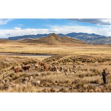 Lais Puzzle - Das Altiplano - Peru - Südamerika - 2.000 Teile