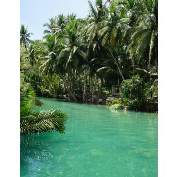 Lais Puzzle - Blick auf den wunderschönen Dschungel entlang eines Flusses in der Nähe der Kawasan Falls, Cebu, Philippinen - 40, 100, 200, 500, 1.000 & 2.000 Teile