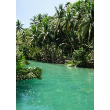Lais Puzzle - Blick auf den wunderschönen Dschungel entlang eines Flusses in der Nähe der Kawasan Falls, Cebu, Philippinen - 1.000 Teile