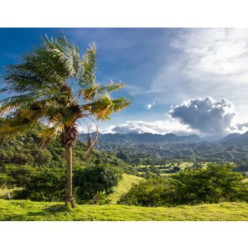 Lais Puzzle - Palme auf grünem Hügel mit Blick auf tropische Wälder und zerklüftete Berge außerhalb von Clark, Philippinen - Pampanga, Luzon, Philippinen - 40, 100, 200, 500, 1.000 & 2.000 Teile