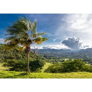 Lais Puzzle - Palme auf grünem Hügel mit Blick auf tropische Wälder und zerklüftete Berge außerhalb von Clark, Philippinen - Pampanga, Luzon, Philippinen - 1.000 Teile