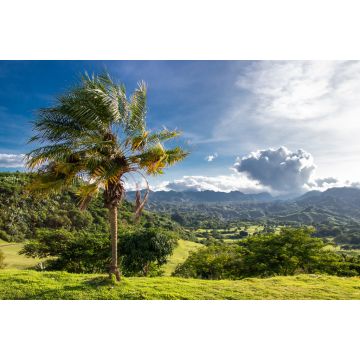 Lais Puzzle - Palme auf grünem Hügel mit Blick auf tropische Wälder und zerklüftete Berge außerhalb von Clark, Philippinen - Pampanga, Luzon, Philippinen - 2.000 Teile