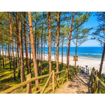 Lais Puzzle - Pfad im Wald zum schönen Strand im Küstendorf Lubiatowo, Ostsee, Polen - 40, 100, 200, 500, 1.000 & 2.000 Teile