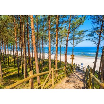 Lais Puzzle - Pfad im Wald zum schönen Strand im Küstendorf Lubiatowo, Ostsee, Polen - 1.000 Teile