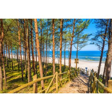 Lais Puzzle - Pfad im Wald zum schönen Strand im Küstendorf Lubiatowo, Ostsee, Polen - 2.000 Teile