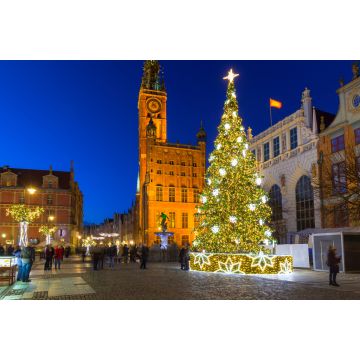 Lais Puzzle - Schöner Weihnachtsbaum in der Altstadt von Gdansk, Polen - 2.000 Teile