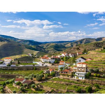 Lais Puzzle - Landschaft der Douro-Flussregion in Portugal - Weinberge - 40, 100, 200, 500, 1.000 & 2.000 Teile