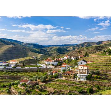 Lais Puzzle - Landschaft der Douro-Flussregion in Portugal - Weinberge - 1.000 Teile
