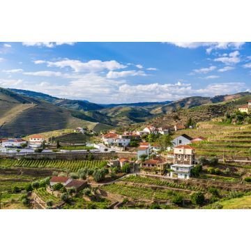 Lais Puzzle - Landschaft der Douro-Flussregion in Portugal - Weinberge - 2.000 Teile