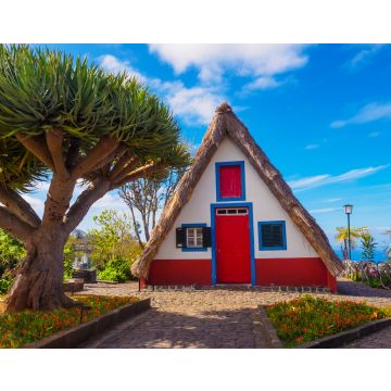 Lais Puzzle - Traditionelle alte Hütte und tropischer Baum im Dorf Santana, Insel Madeira, Portugal - 40, 100, 200, 500, 1.000 & 2.000 Teile