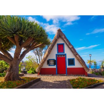 Lais Puzzle - Traditionelle alte Hütte und tropischer Baum im Dorf Santana, Insel Madeira, Portugal - 1.000 Teile