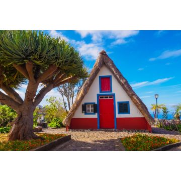 Lais Puzzle - Traditionelle alte Hütte und tropischer Baum im Dorf Santana, Insel Madeira, Portugal - 2.000 Teile