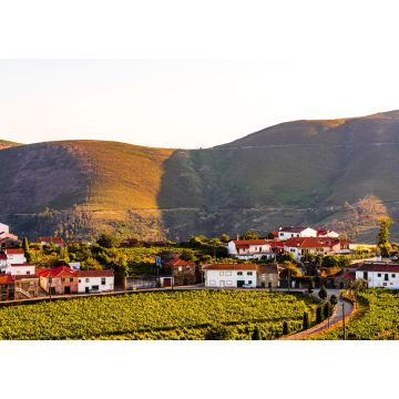 Lais Puzzle - Blick auf einen Weinberg im Dorf Provesende in der Region Douro-Tal, Portugal - 1.000 Teile