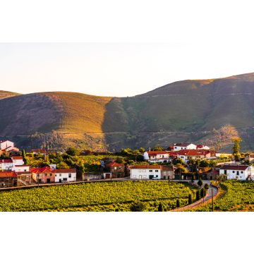 Lais Puzzle - Blick auf einen Weinberg im Dorf Provesende in der Region Douro-Tal, Portugal - 2.000 Teile
