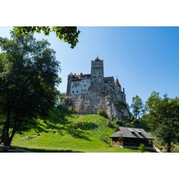Lais Puzzle - Schloss Bran in Rumänien, Vlad Dracula Haus, Landschaft mit mittelalterlichem Turm - 1.000 Teile