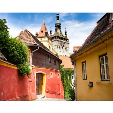 Lais Puzzle - Schöne bunte Straße in Sighisoara im typischen traditionellen Stil. Sighisoara ist der Ort, an dem Dracula geboren wurde - 40, 100, 200, 500, 1.000 & 2.000 Teile