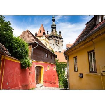Lais Puzzle - Schöne bunte Straße in Sighisoara im typischen traditionellen Stil. Sighisoara ist der Ort, an dem Dracula geboren wurde - 1.000 Teile