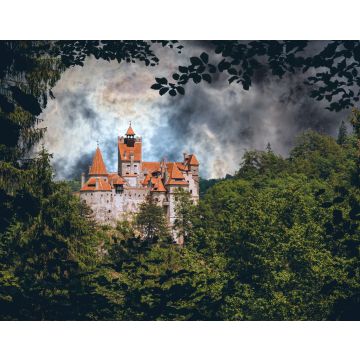 Lais Puzzle - Schloss Bran. Vampir-Residenz von Dracula in den Wäldern von Rumänien - 40, 100, 200, 500, 1.000 & 2.000 Teile