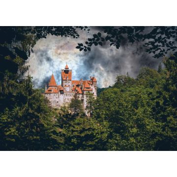Lais Puzzle - Schloss Bran. Vampir-Residenz von Dracula in den Wäldern von Rumänien - 1.000 Teile