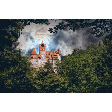 Lais Puzzle - Schloss Bran. Vampir-Residenz von Dracula in den Wäldern von Rumänien - 2.000 Teile