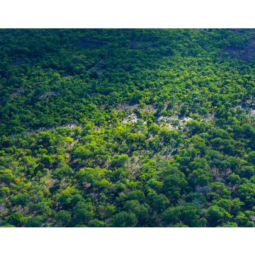 Lais Puzzle - Kasanka-Nationalpark, Serenje, Zentralprovinz, Sambia, Afrika - 40, 100, 200, 500, 1.000 & 2.000 Teile