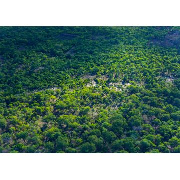 Lais Puzzle - Kasanka-Nationalpark, Serenje, Zentralprovinz, Sambia, Afrika - 1.000 Teile