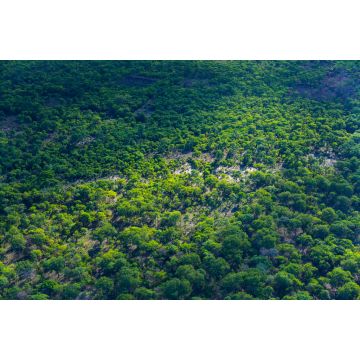 Lais Puzzle - Kasanka-Nationalpark, Serenje, Zentralprovinz, Sambia, Afrika - 2.000 Teile