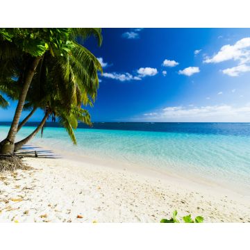 Lais Puzzle - Palmen Ozean Strand Samoa - 40, 100, 200, 500, 1.000 & 2.000 Teile