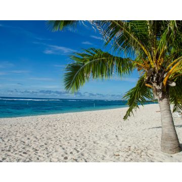 Lais Puzzle - Falealupo Beach umgeben von Palmen und Meer unter blauem Himmel in Samoa - 40, 100, 200, 500, 1.000 & 2.000 Teile