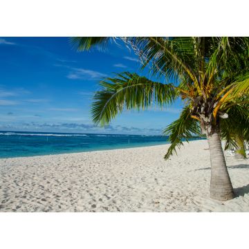 Lais Puzzle - Falealupo Beach umgeben von Palmen und Meer unter blauem Himmel in Samoa - 1.000 Teile