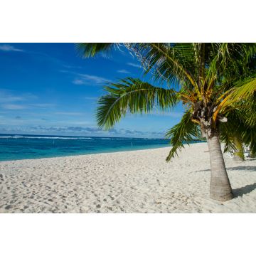 Lais Puzzle - Falealupo Beach umgeben von Palmen und Meer unter blauem Himmel in Samoa - 2.000 Teile