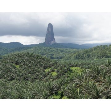 Lais Puzzle - Gipfel des Cao Grande, Sao Tome und Principe, Afrika - 40, 100, 200, 500, 1.000 & 2.000 Teile