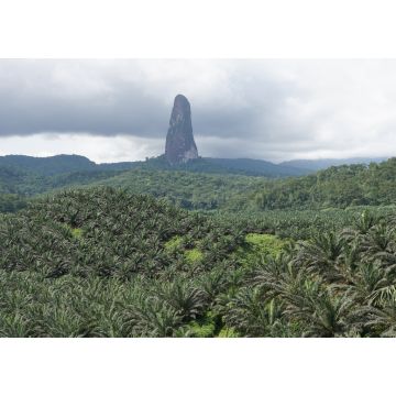 Lais Puzzle - Gipfel des Cao Grande, Sao Tome und Principe, Afrika - 1.000 Teile