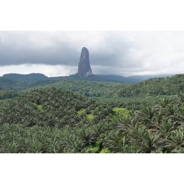 Lais Puzzle - Gipfel des Cao Grande, Sao Tome und Principe, Afrika - 2.000 Teile