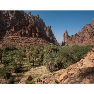 Lais Puzzle - Fels- und Oasenlandschaft im Wadi Disah in der Region Tabuk, Saudi-Arabien - 40, 100, 200, 500, 1.000 & 2.000 Teile