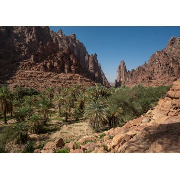 Lais Puzzle - Fels- und Oasenlandschaft im Wadi Disah in der Region Tabuk, Saudi-Arabien - 1.000 Teile