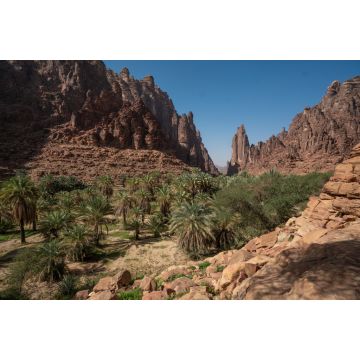 Lais Puzzle - Fels- und Oasenlandschaft im Wadi Disah in der Region Tabuk, Saudi-Arabien - 2.000 Teile