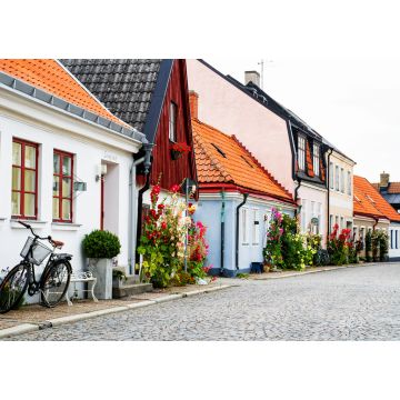 Lais Puzzle - Schwedische Dorfgasse mit Toren und Pflanzen, Ystad - 1.000 Teile