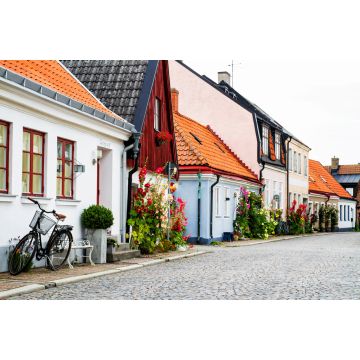 Lais Puzzle - Schwedische Dorfgasse mit Toren und Pflanzen, Ystad - 2.000 Teile