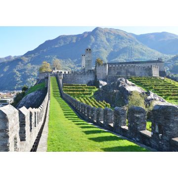 Lais Puzzle - Antike Festungsanlagen in Bellinzona, Schweiz - 1.000 Teile