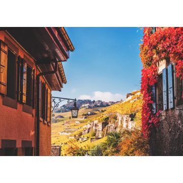 Lais Puzzle - Kleine Gassen des mittelalterlichen Schweizer Dorfes Saint-Saphorin, Lavaux Weinberge - 1.000 Teile