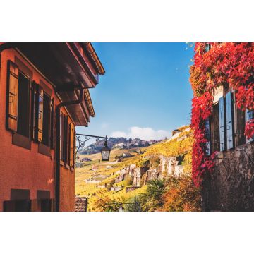 Lais Puzzle - Kleine Gassen des mittelalterlichen Schweizer Dorfes Saint-Saphorin, Lavaux Weinberge - 2.000 Teile