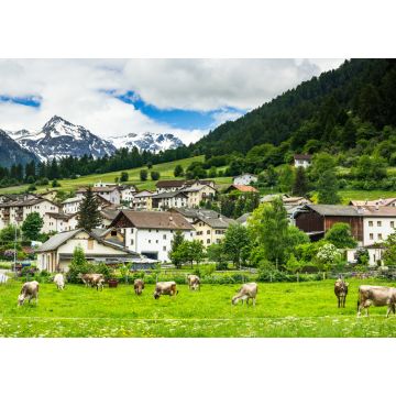 Lais Puzzle - Kuhweide und Alpen im Hintergrund des Dorfes Mustair, Schweiz - 1.000 Teile