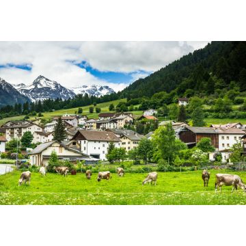 Lais Puzzle - Kuhweide und Alpen im Hintergrund des Dorfes Mustair, Schweiz - 2.000 Teile