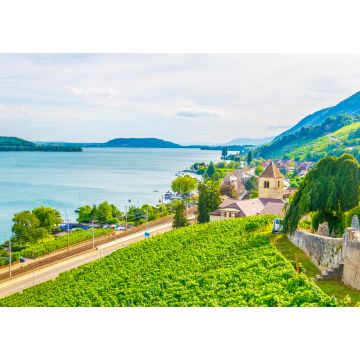 Lais Puzzle - Das Dorf Twann-Tüscherz am Bielersee in der Nähe von Biel/Bienne in der Schweiz - 1.000 Teile