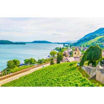 Lais Puzzle - Das Dorf Twann-Tüscherz am Bielersee in der Nähe von Biel/Bienne in der Schweiz - 2.000 Teile